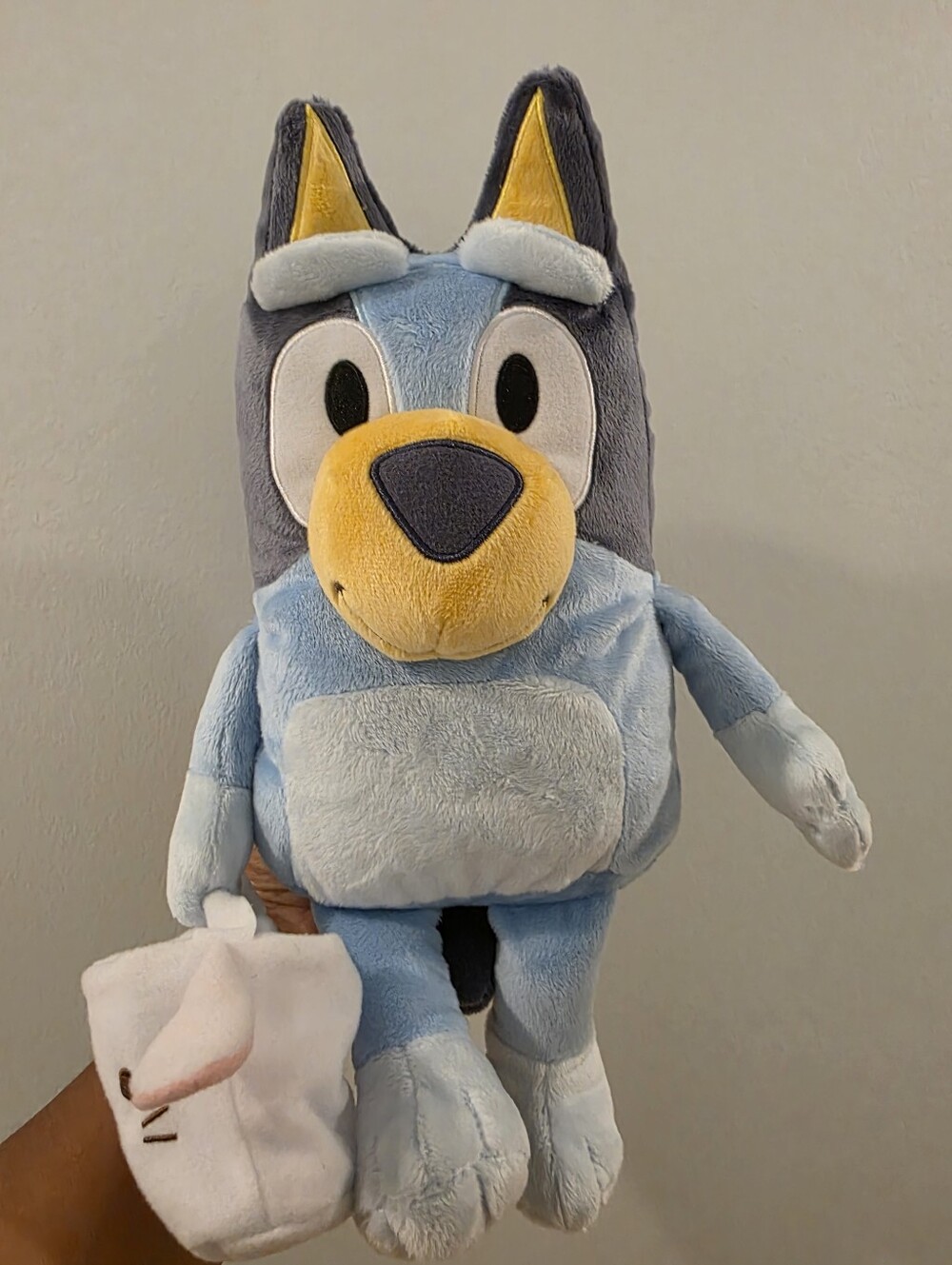 Bluey - Picture 9 of 9